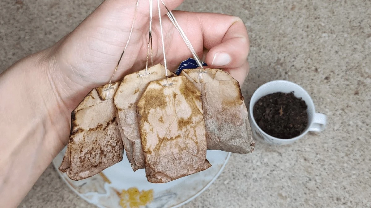 Ya no tiro las bolsitas de té: 4 trucos para usar el té usado en ventanas y jardín – efecto al 100%