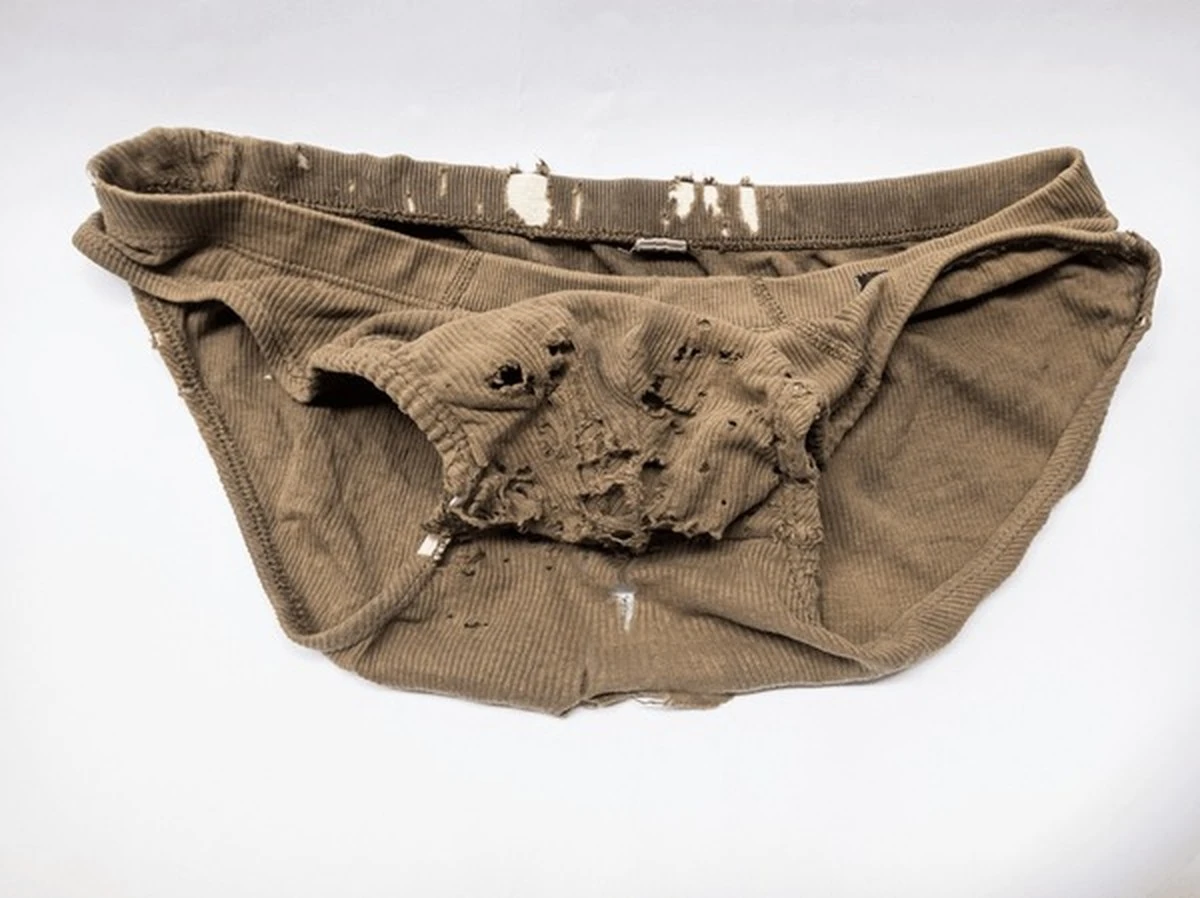 2usosgenialespa-extra-1.webp 2 usos geniales para tus pantis viejos que no son para cultivar cebollas - image 1