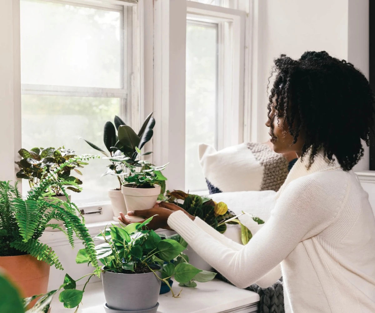 cuantaaguadarat-extra-1.webp Cuánta agua dar a tus plantas de interior en invierno para que sobrevivan hasta la primavera - image 1