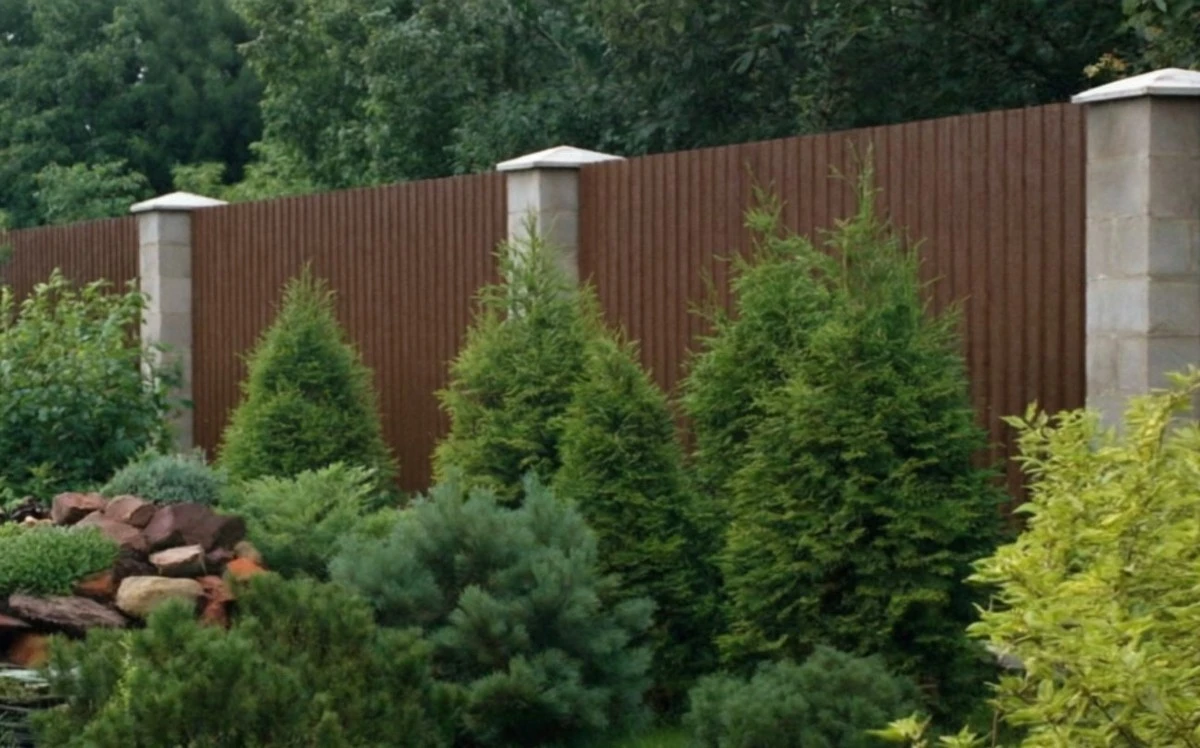 Los 7 árboles que atraen la buena fortuna y la energía positiva a tu hogar