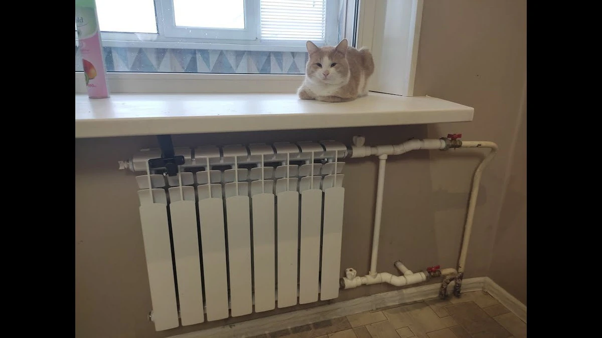 Un truco simple para mantener el calor y reducir tus facturas de calefacción