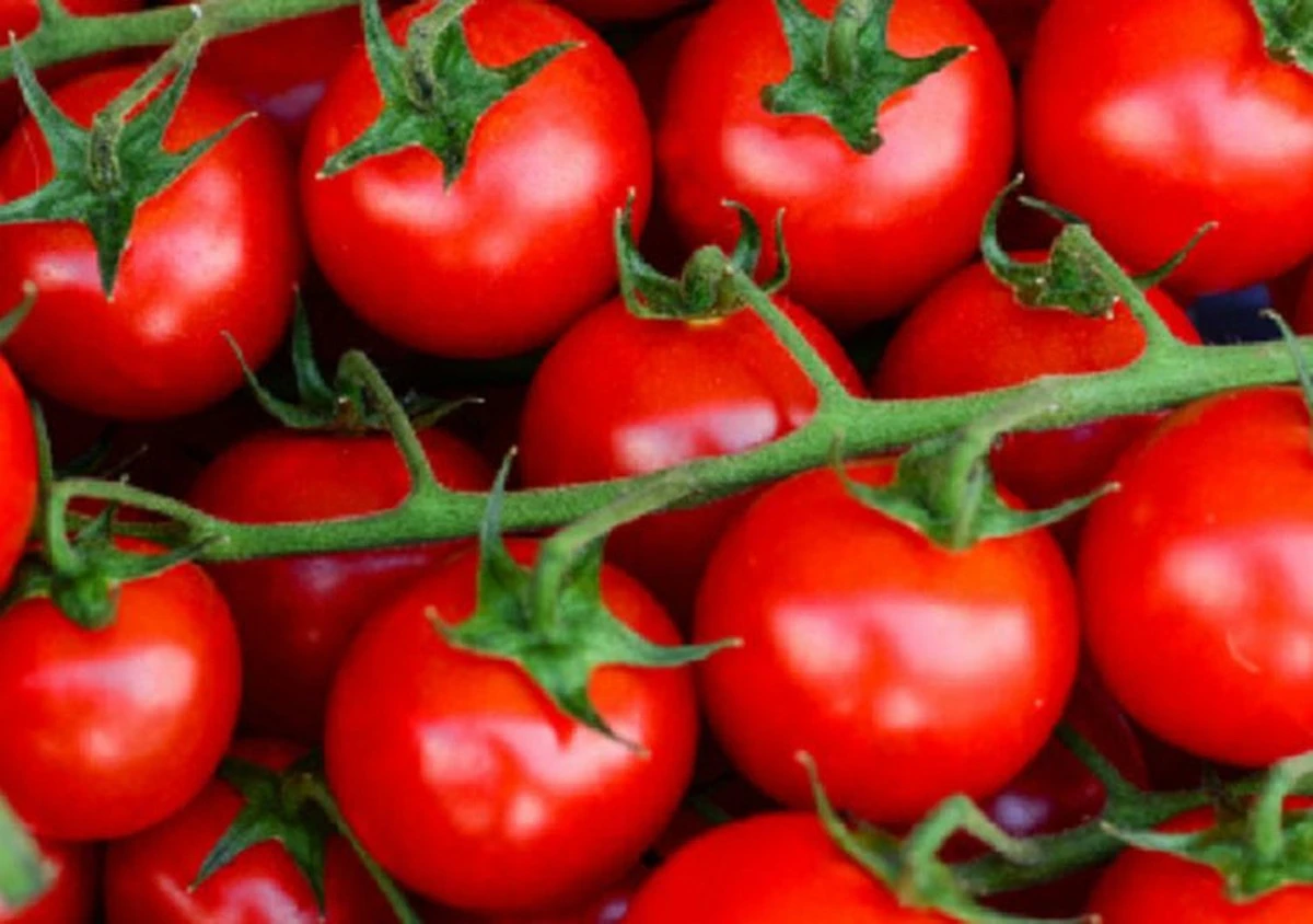 Tomates cherry vs. tomates grandes: ¿cuáles son realmente mejores para tu salud? - image 1