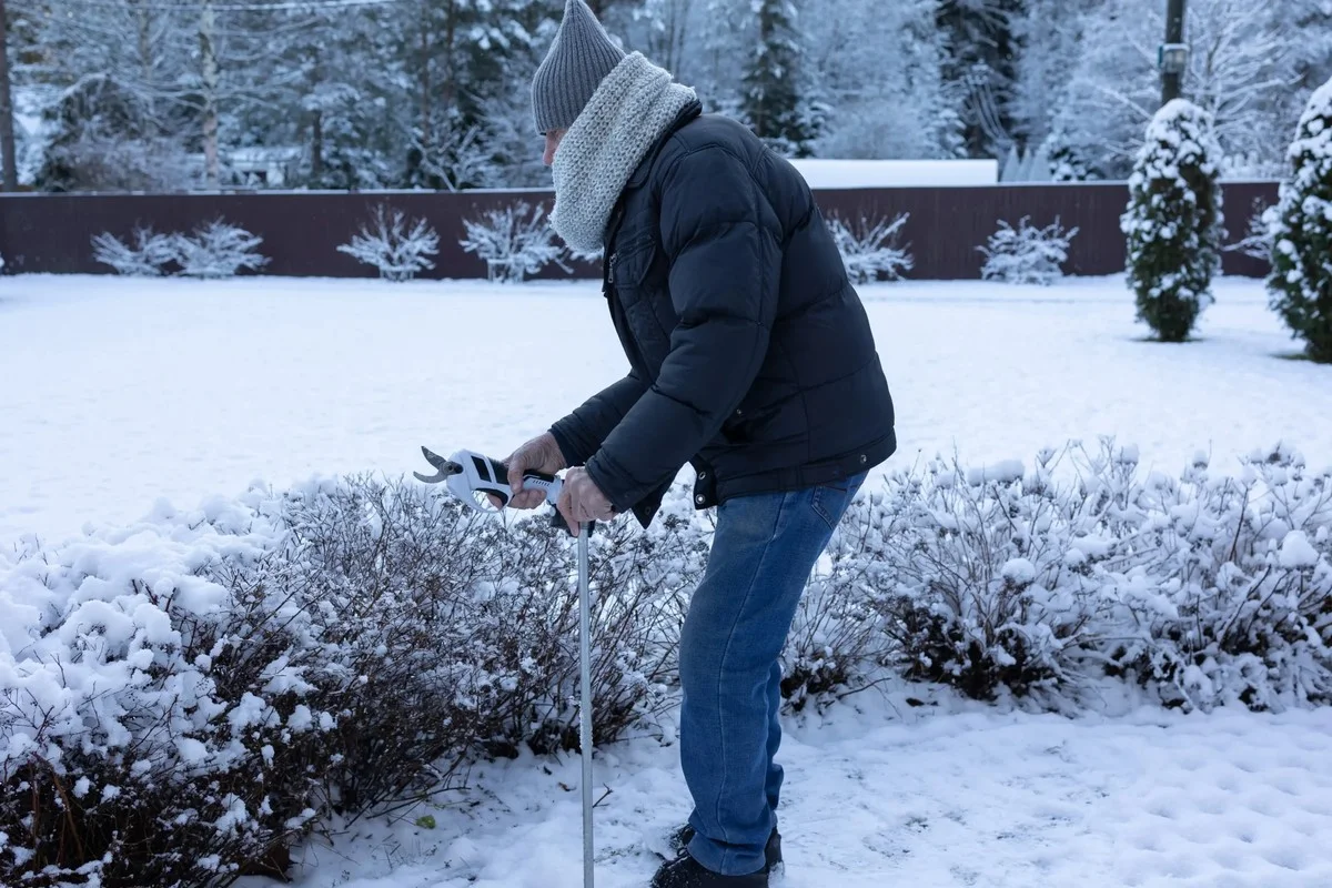 Enero: El mes clave para tu cosecha. Ignora el mantenimiento invernal de tu jardín y no cosecharás ni cebollino.