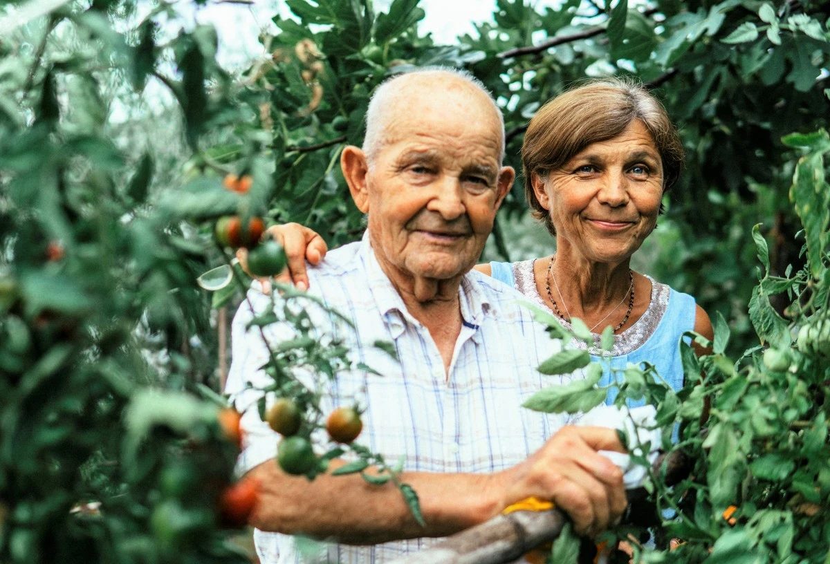 La verdad sobre la carne: ¿esencial para vivir más de 100 años en la vejez? - image 1
