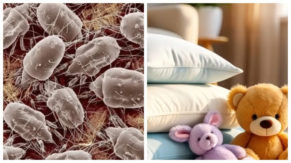 El frío extremo como tu aliado secreto contra la suciedad y los gérmenes en casa