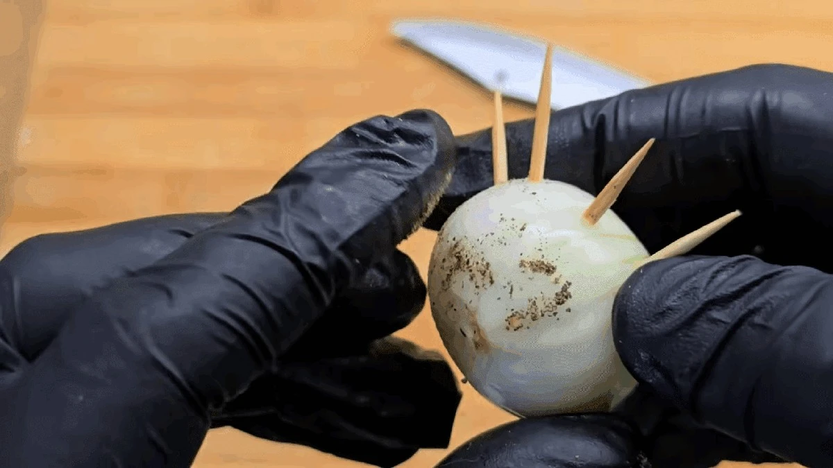 Guarda tus palillos en la cocina, no en el baño: el truco secreto que mantiene frescos limón, pepino y salchichas por el triple de tiempo