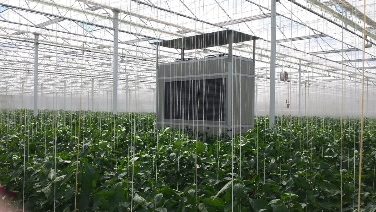 evitaquetuinver-extra-1.webp Evita que tu invernadero luzca como una cascada: 5 trucos para eliminar el condensado - image 1