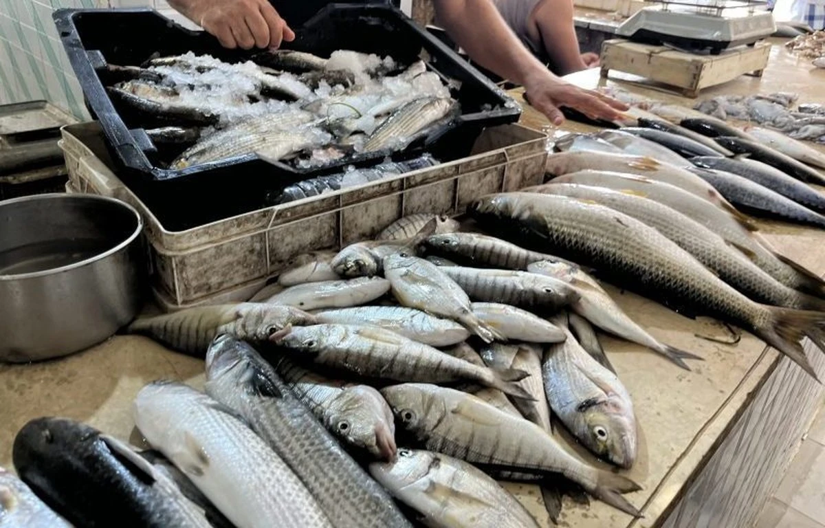 laclavesecretad-extra-1.webp La clave secreta de los vendedores de pescado para elegir arenques frescos (y no te la cuentan) - image 1