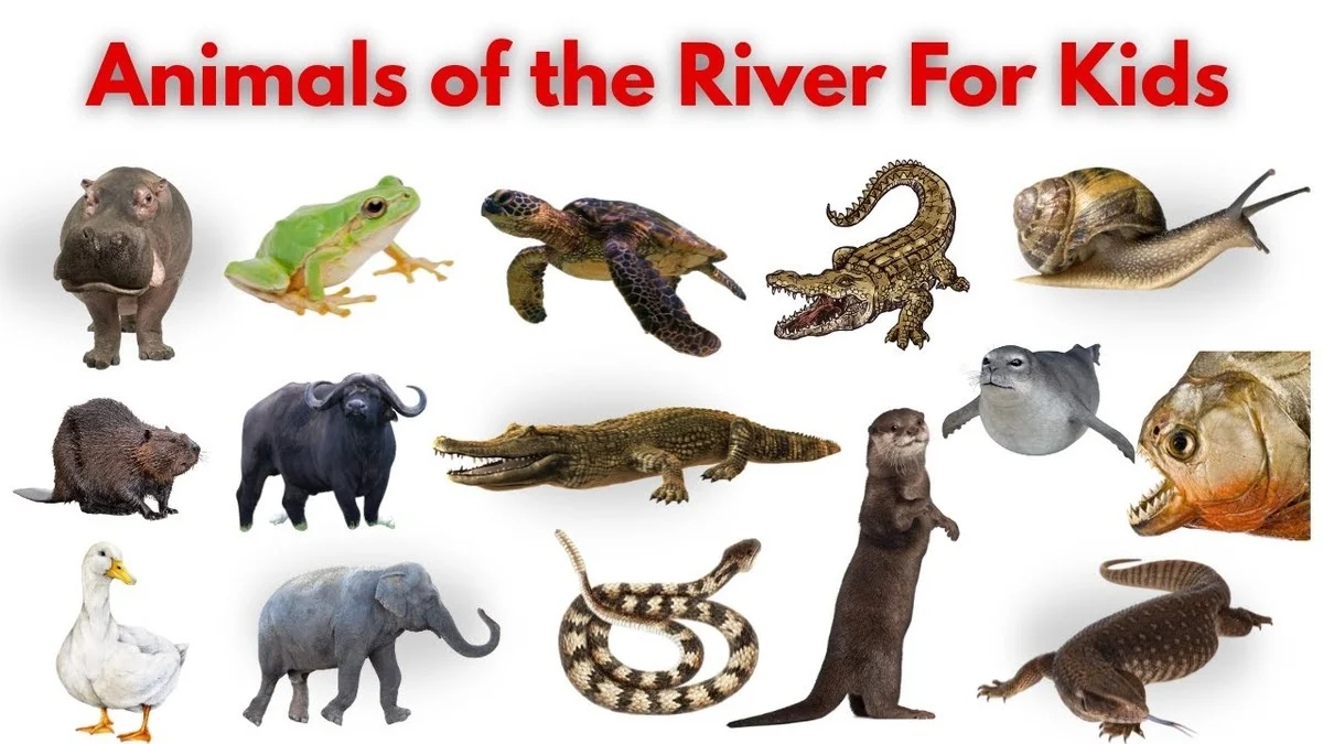 Nutrias en el Elba: el invasor sudamericano que eclipsa el regreso del castor histórico - image 1