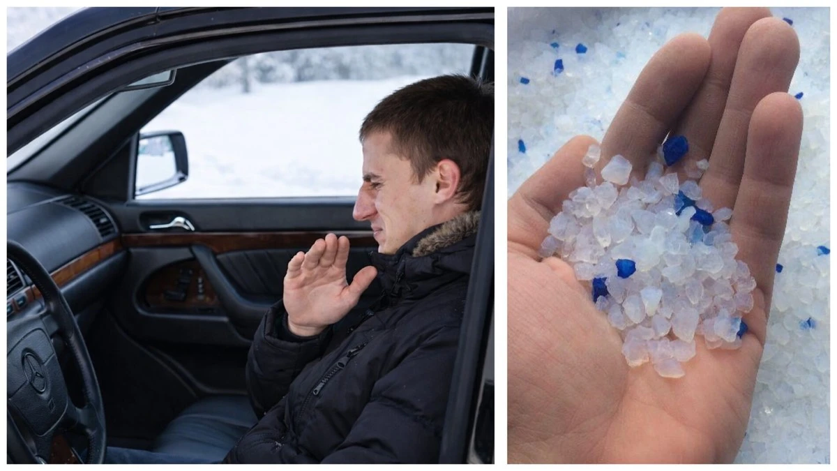 Adiós a la humedad: el secreto para eliminar el olor a humedad del coche en días