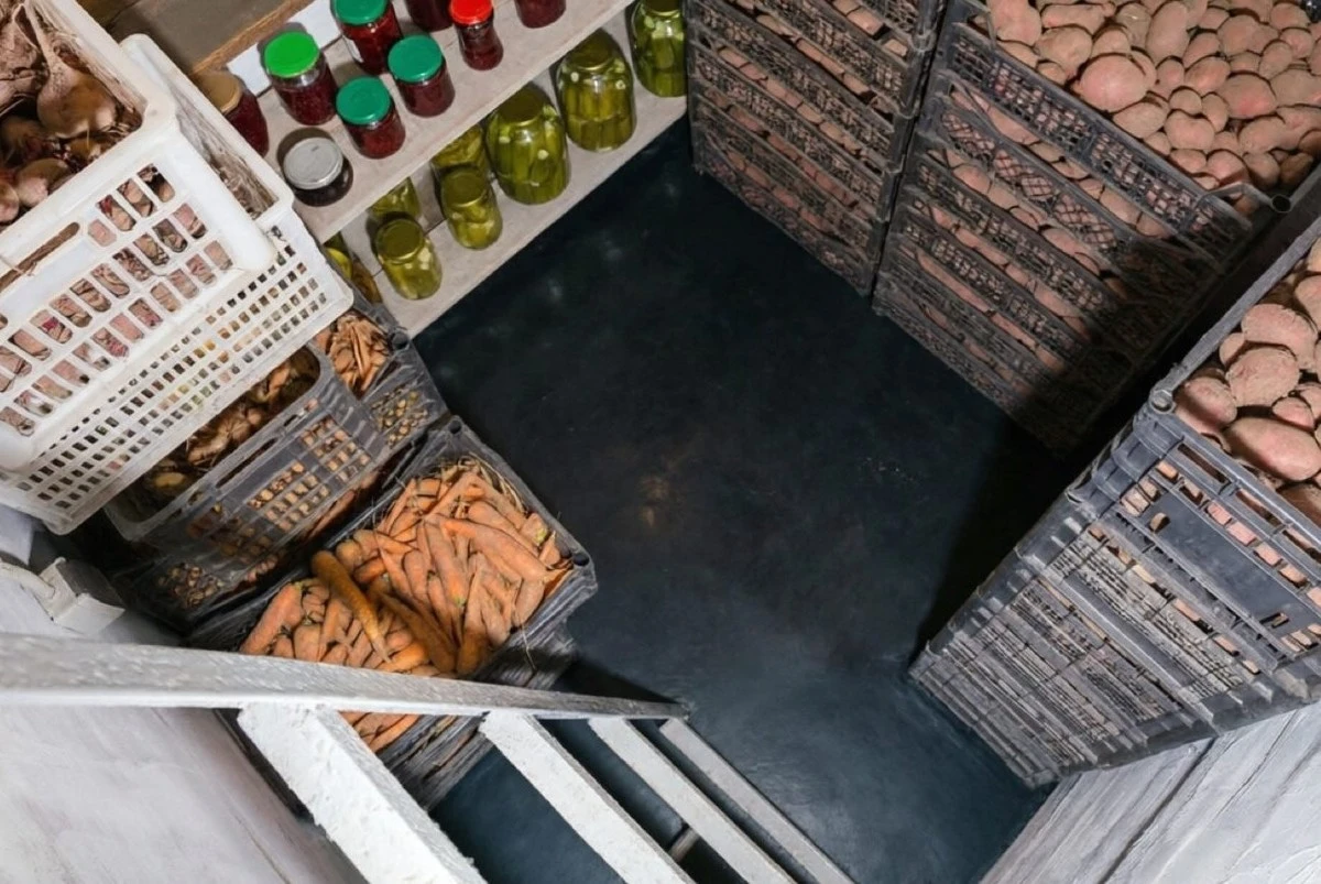 El método sencillo que eliminó el olor a humedad de mi sótano en un día, sin químicos caros