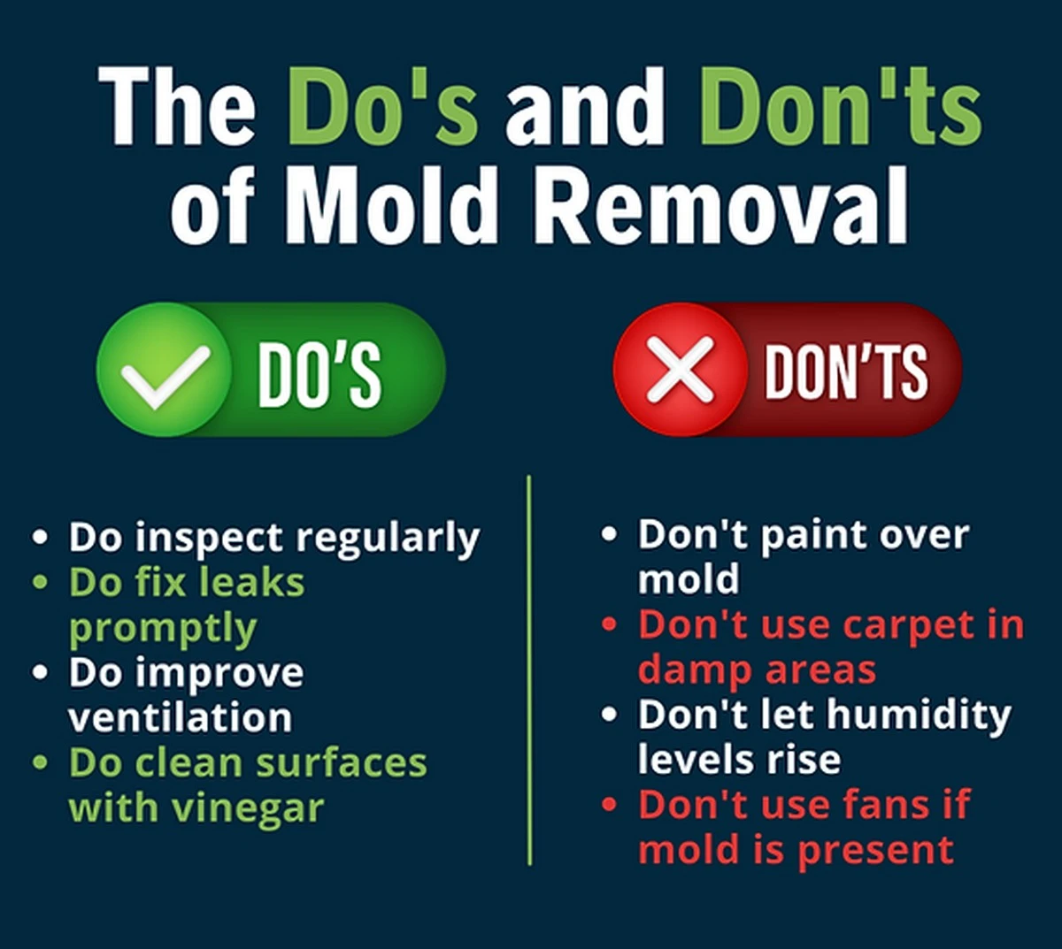 5 métodos infalibles para decir adiós al moho en tu hogar - image 1