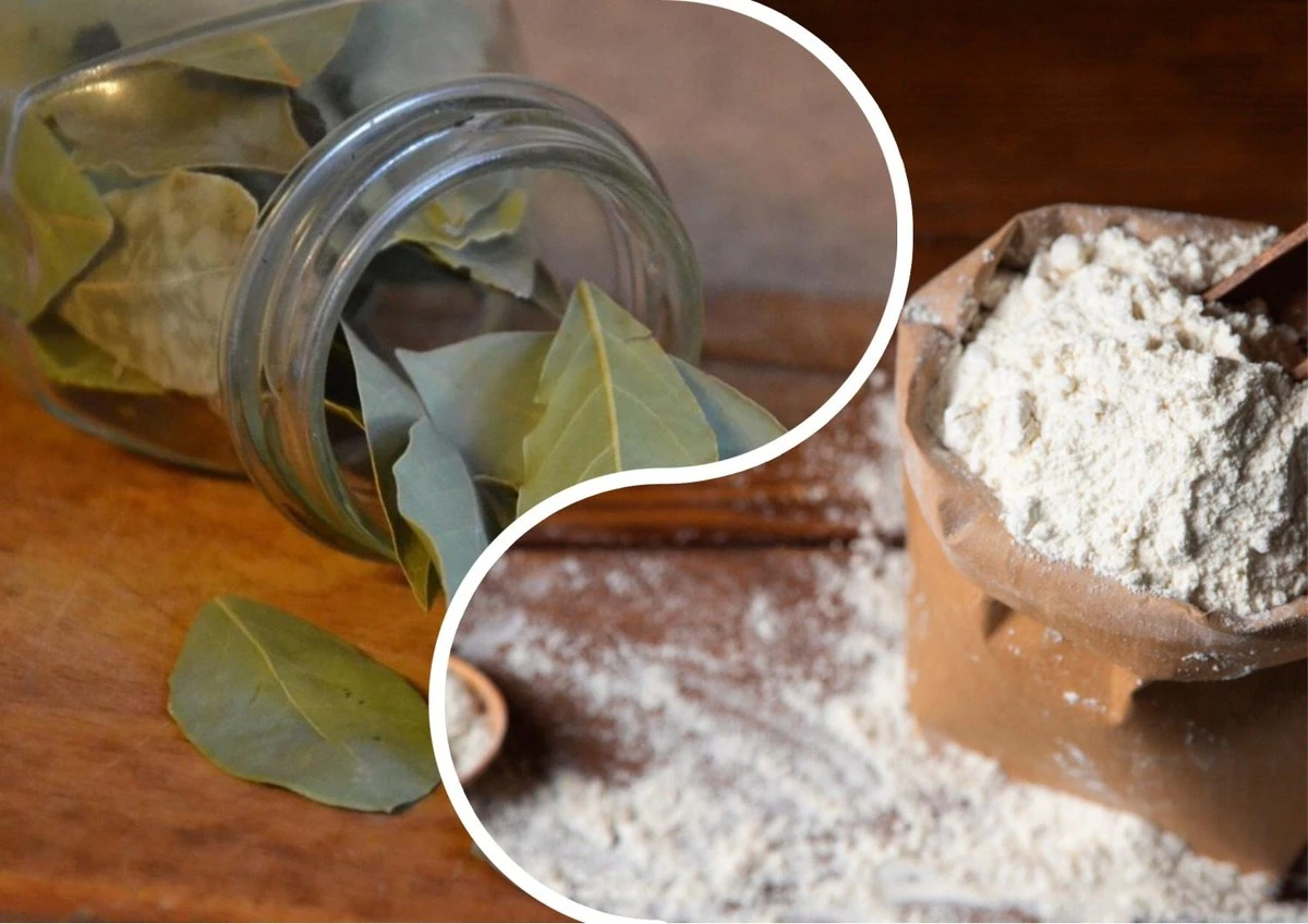 Este truco infalible con 3 hojas de laurel evita las polillas en tu harina