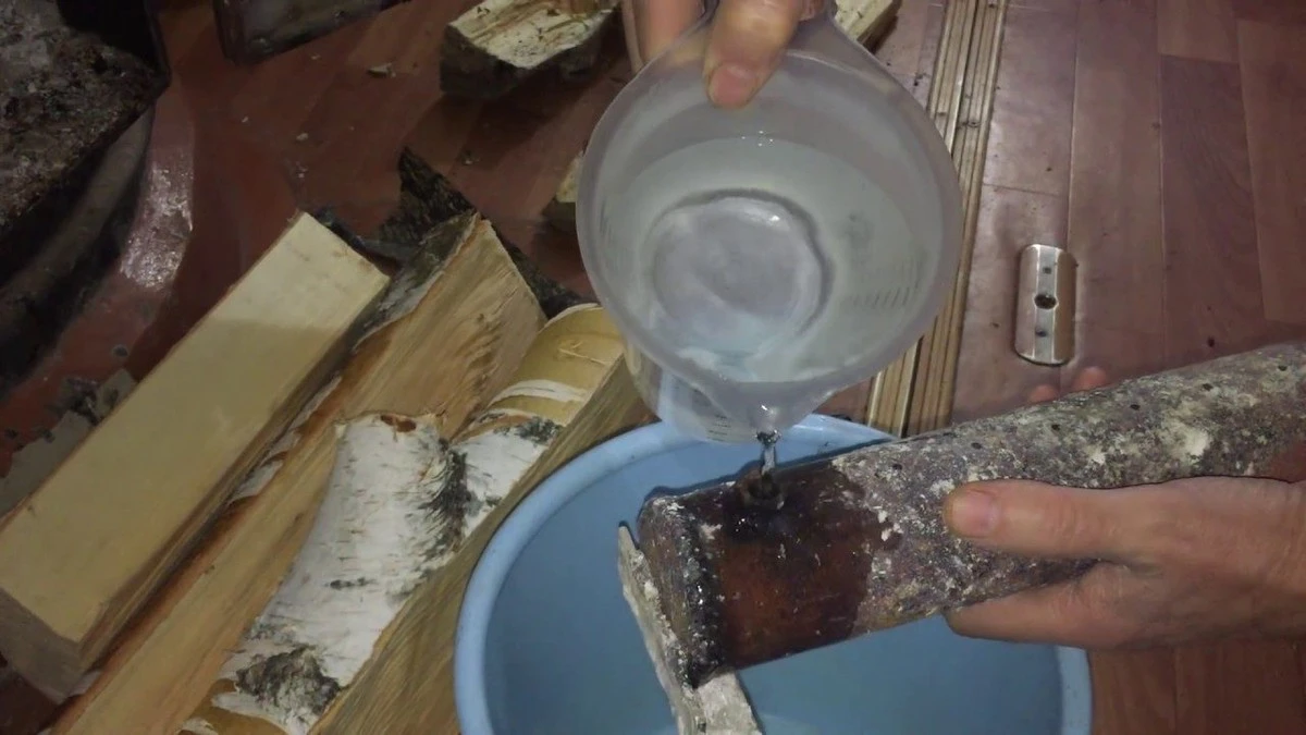 Un tronco ‘eterno’ que revoluciona tu chimenea: ahorro del 50% en leña este invierno