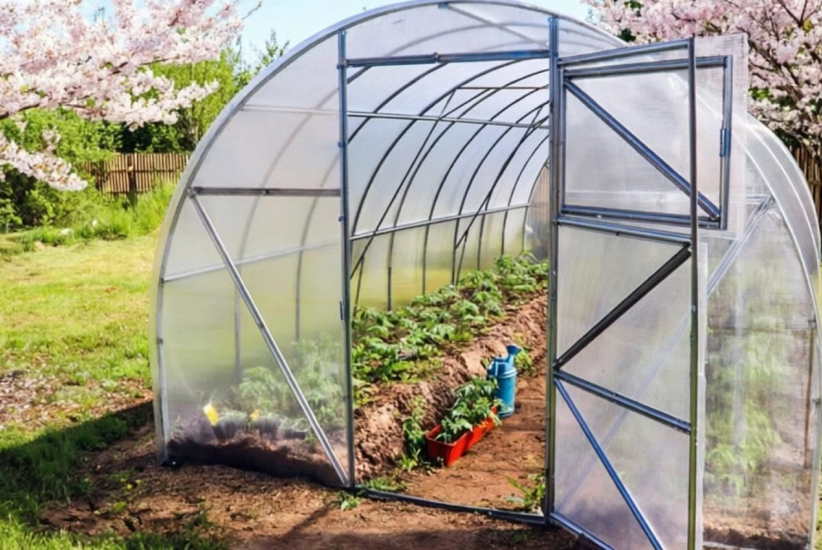 No uses estos productos en tu invernadero: sabes qué destruye el policarbonato