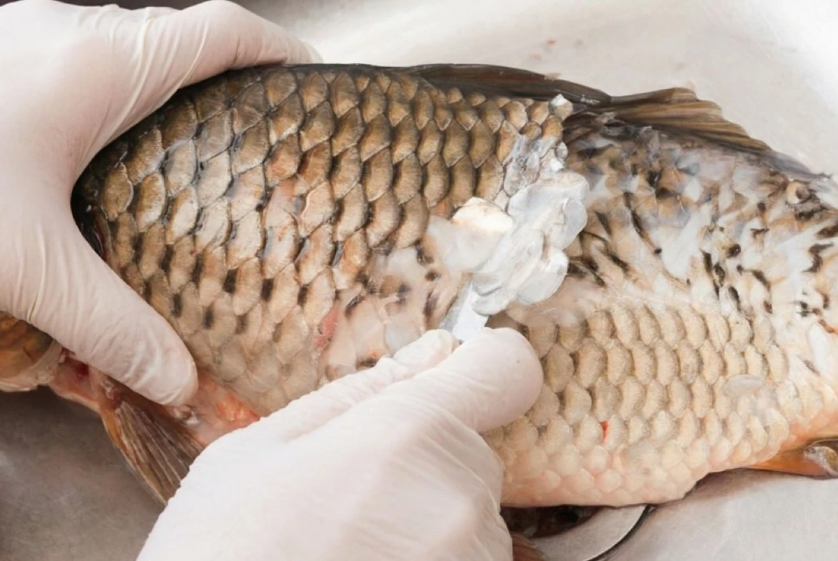 La esponja de cocina que elimina la escama de pescado en segundos