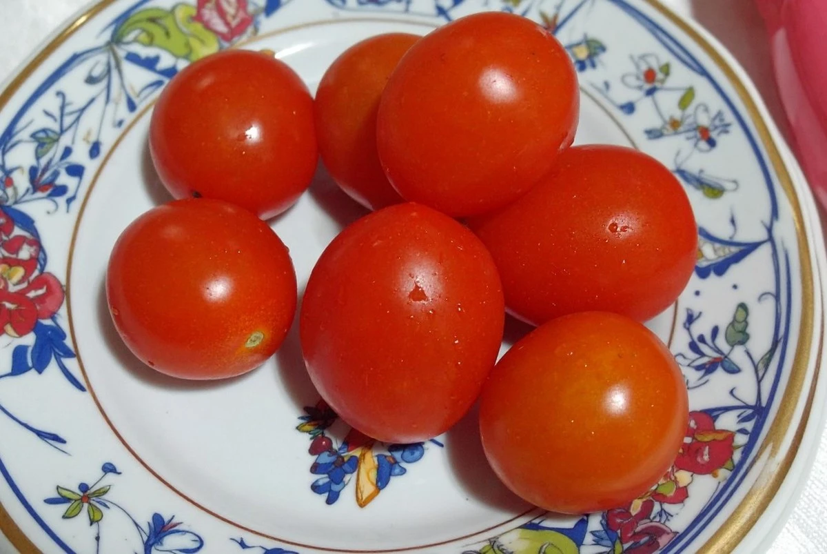 Tomates cherry vs. tomates grandes: ¿cuáles son realmente mejores para tu salud?