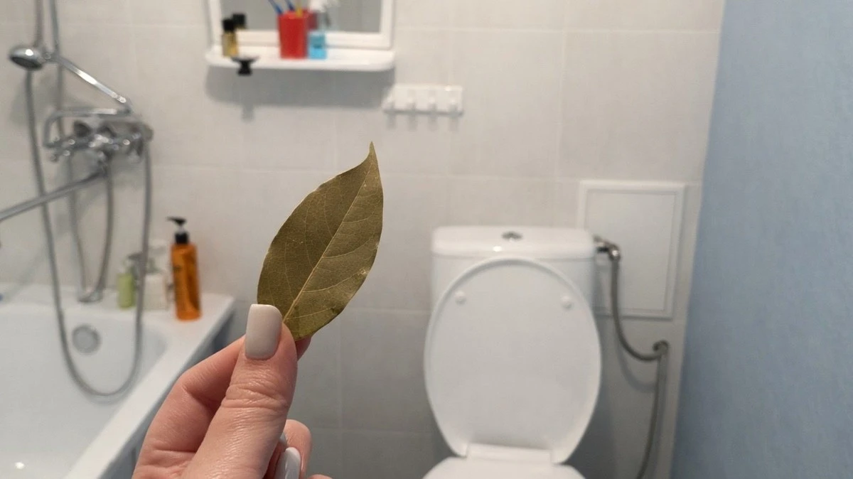 Por qué las abuelas queman una hoja de laurel en el baño: la aromaterapia secreta y barata