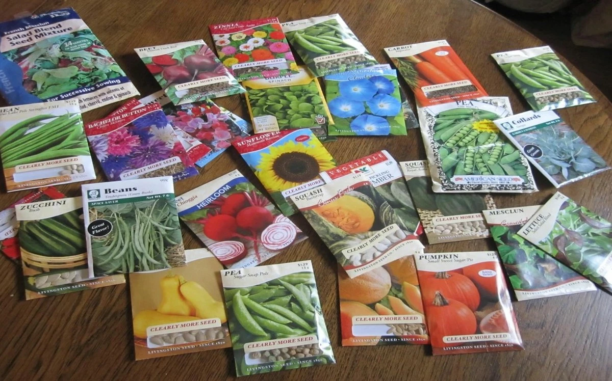 Siembra el éxito: cómo identificar semillas de calidad y asegurar tu cosecha