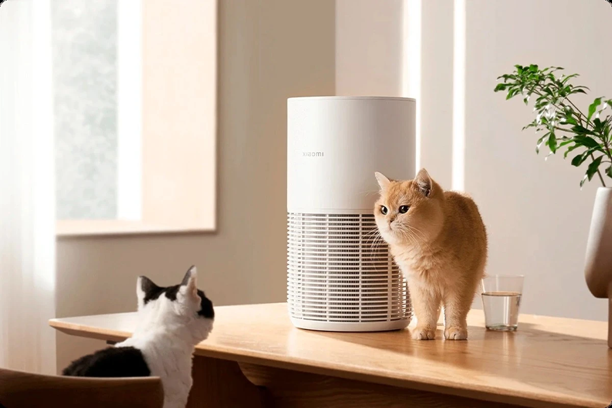 adiosalosestorn-extra-1.webp Adiós a los estornudos: el aparato que revoluciona la vida de los dueños de mascotas - image 1