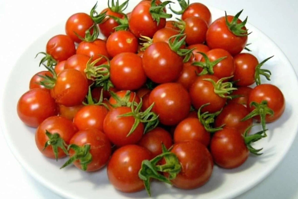Cherry vs. Tomates Comunes: La Revelación Nutricional Que Cambiará Tu Dieta