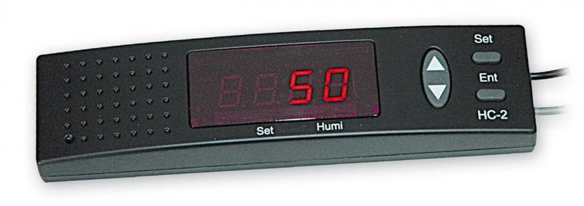 La sal: el aliado secreto contra la humedad que tus ventanas agradecen - image 1