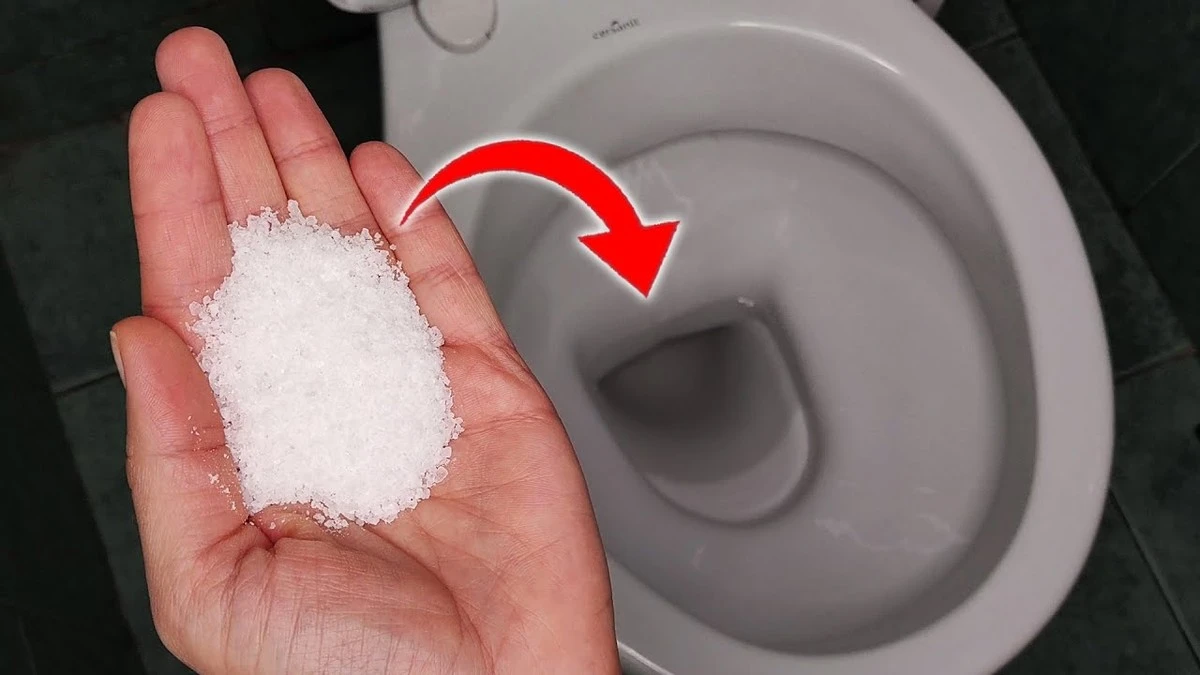 5 cucharadas de ácido cítrico: mi truco para un inodoro impecable sin frotar