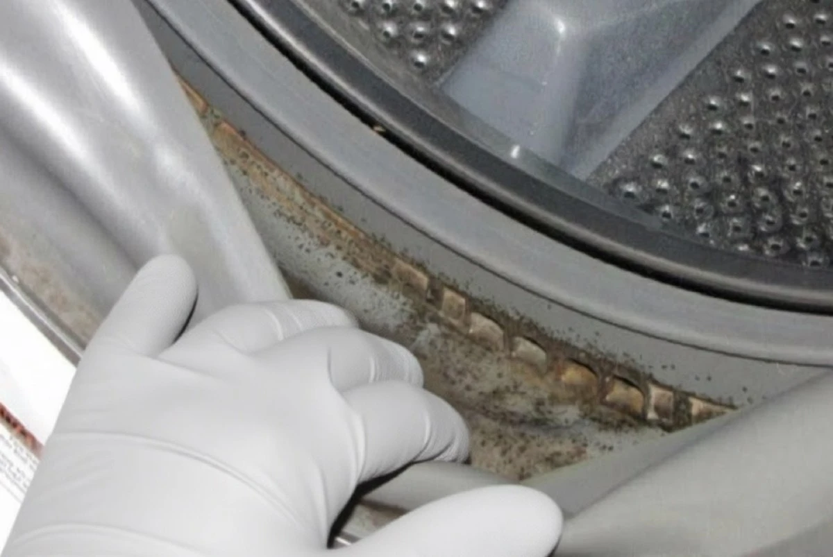 Cómo blanquear la goma de la lavadora: el truco casero que los ingenieros no quieren que sepas