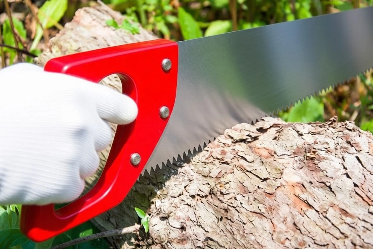 Afila tu sierra para madera como un profesional en 10 minutos: ¡lista para la primavera gratis!