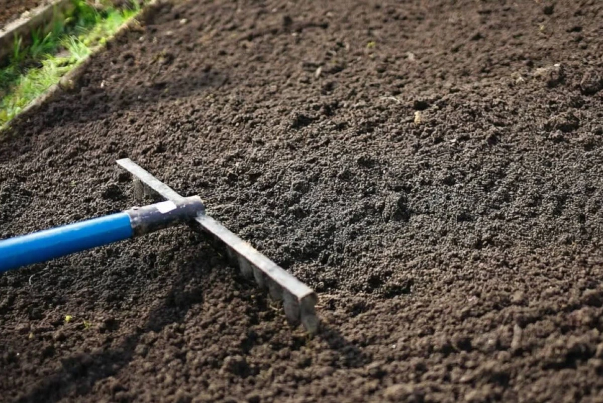 5 señales de que tu tierra está lista para sembrar (y no, el calendario no siempre acierta)