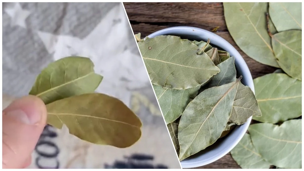 La hoja de laurel bajo tu almohada: el secreto de abuela para noches perfectas