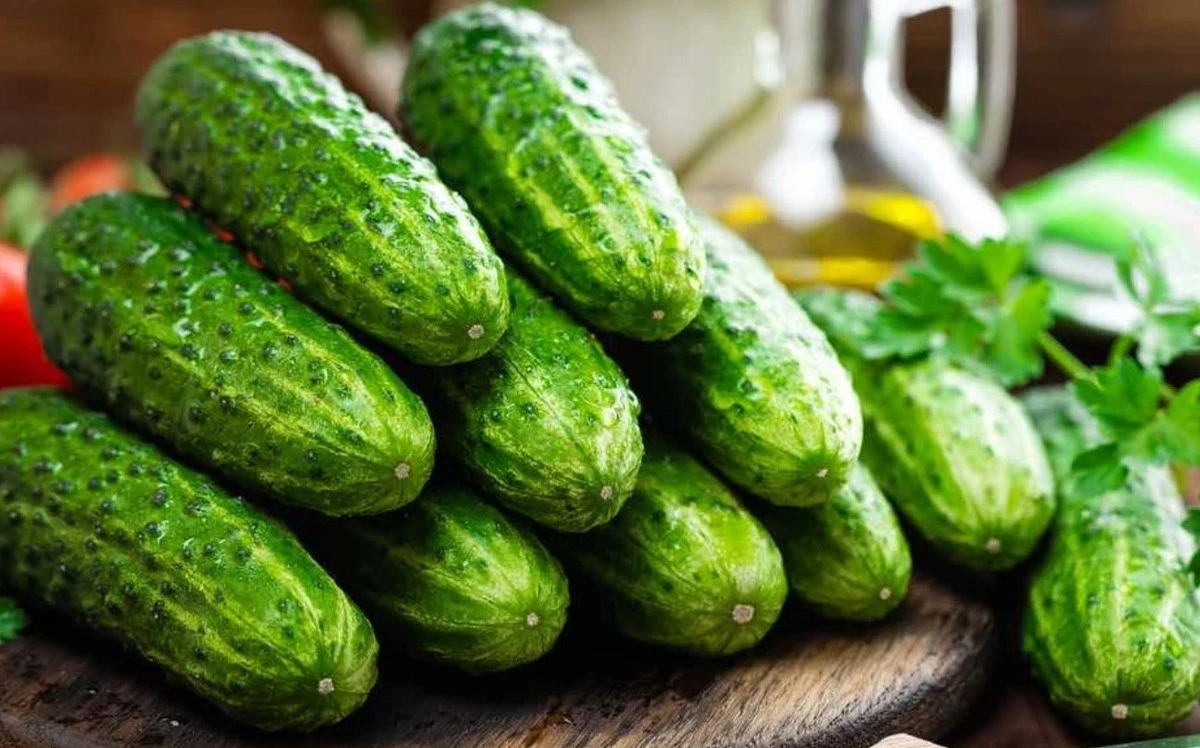 Aumenta tu cosecha de pepinos: el secreto de los jardineros expertos para un rendimiento récord sin químicos