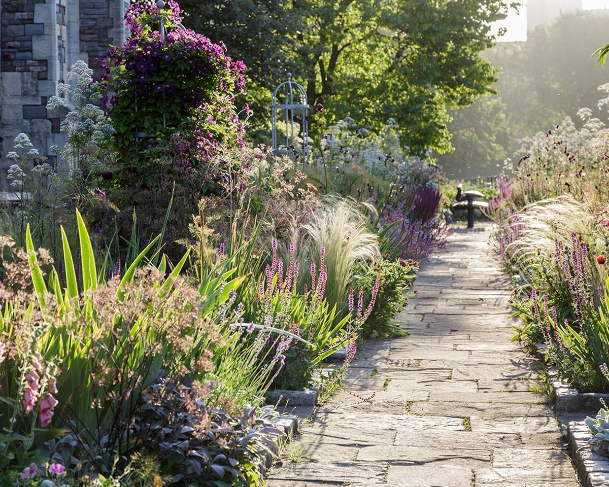 Tu jardín olerá bien todo el verano: secretos sencillos para un paraíso aromático. - image 1