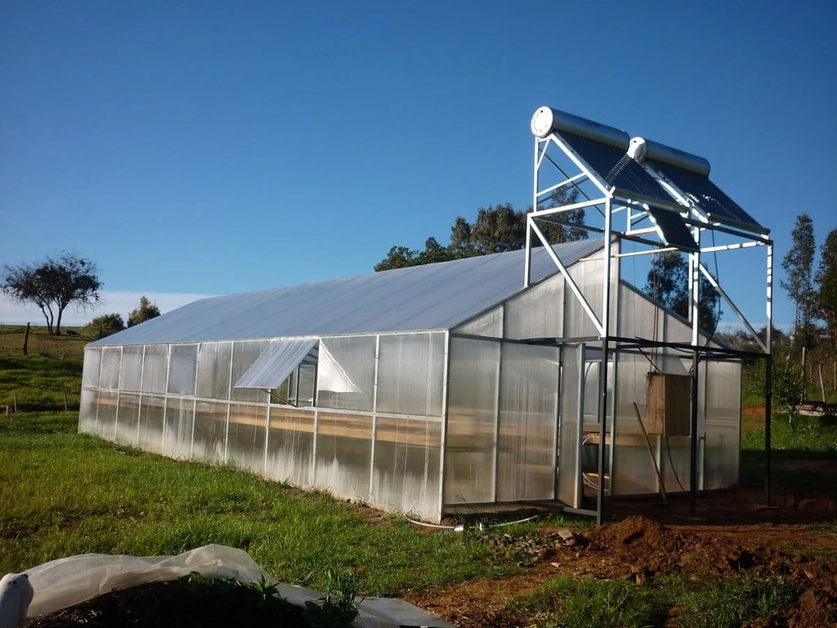 No uses estos productos en tu invernadero: sabes qué destruye el policarbonato - image 1