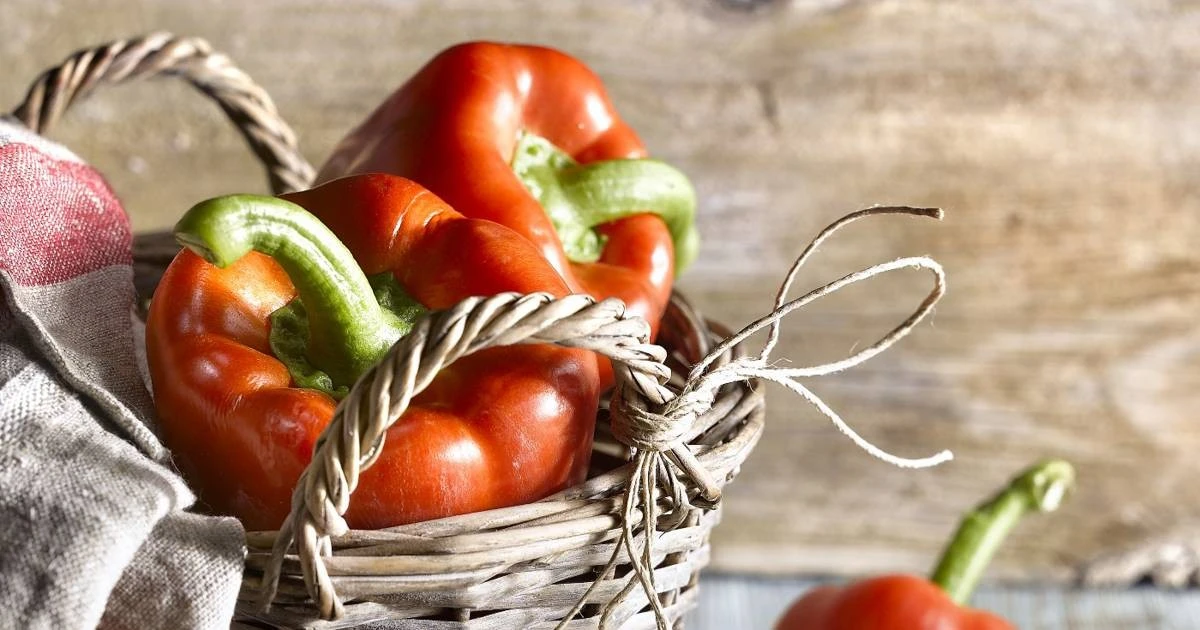 Cómo librarse de la infestación de mildiu en tus pimientos sin gastar una fortuna en químicos - image 1