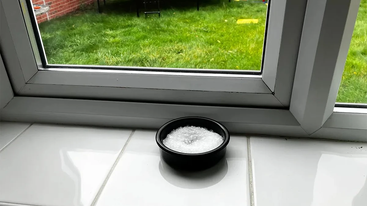 El secreto de la sal en el alféizar: por qué esta simple solución elimina la condensación de tus ventanas - image 1