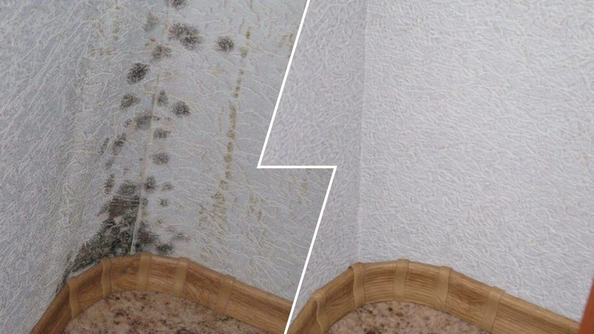 El moho negro en las paredes: solución casera que lo elimina en minutos sin dañar tus papeles tapiz