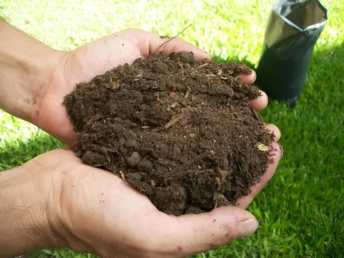 13 Secretos para Devolverle la Vida a Tu Tierra Agotada - image 1