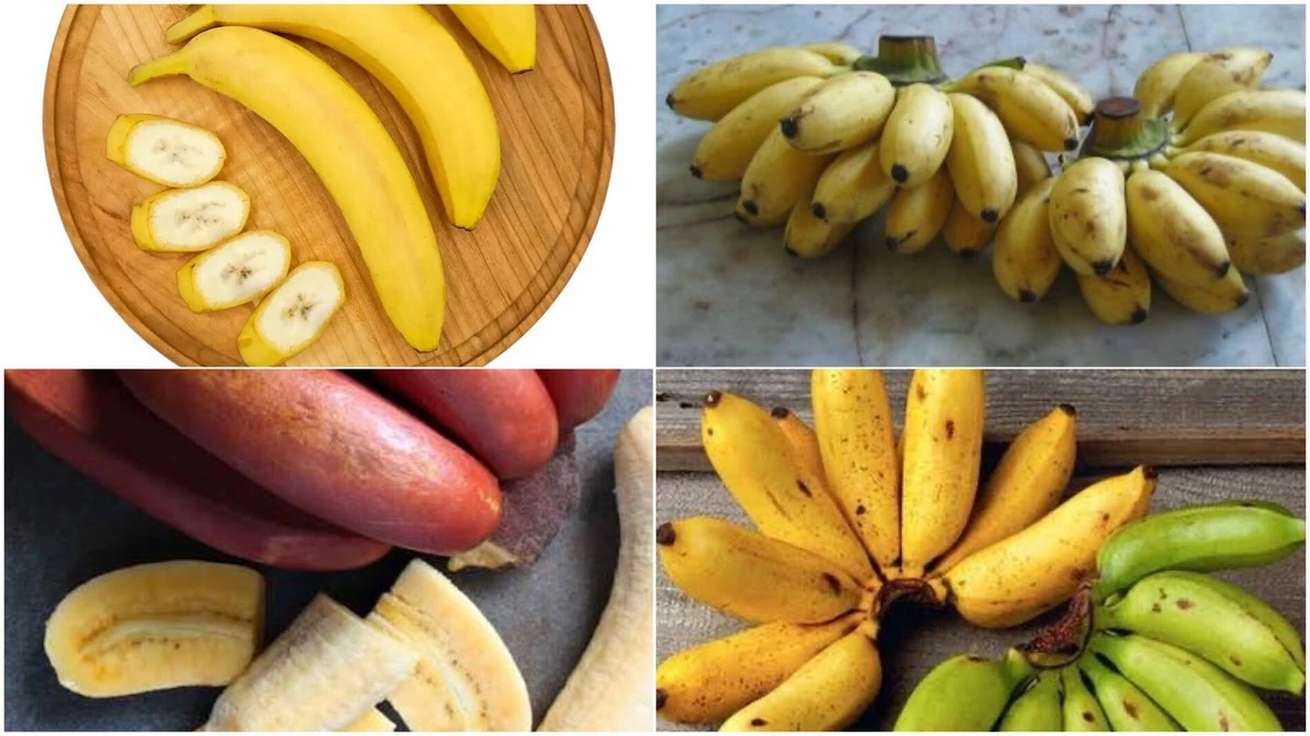 Baby bananas: why pay more for miniatures