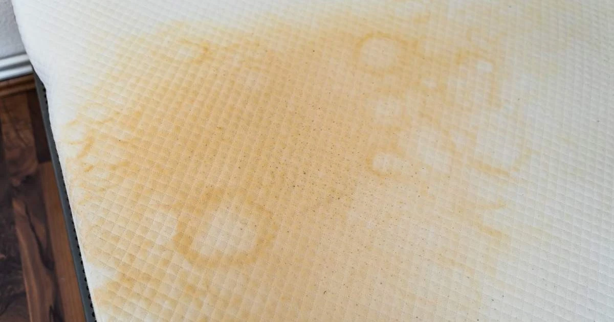 eltrucodelaplan-extra-1.webp El truco de la plancha que resucita tu colchón: adiós a las manchas rebeldes - image 1