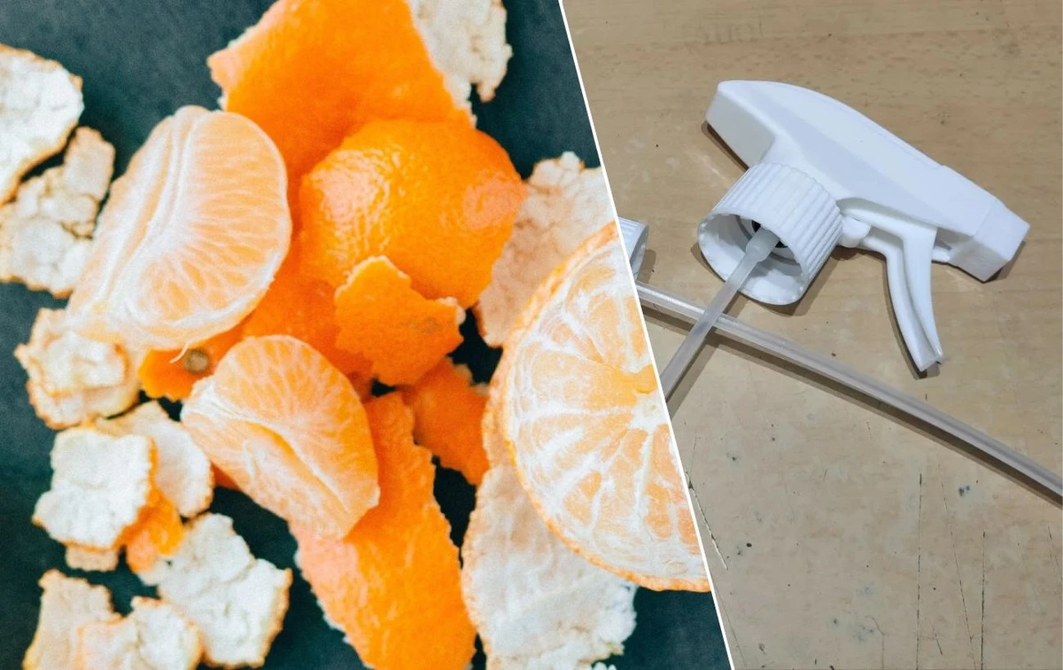 3 Razones por las que nunca más tirarás las cáscaras de cítricos