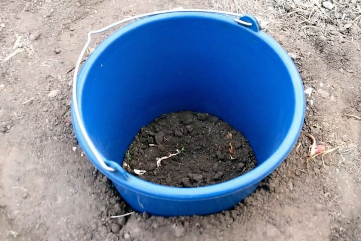 Cómo sacar clavos hundidos sin dañar la madera: 4 trucos expertos que nadie te cuenta