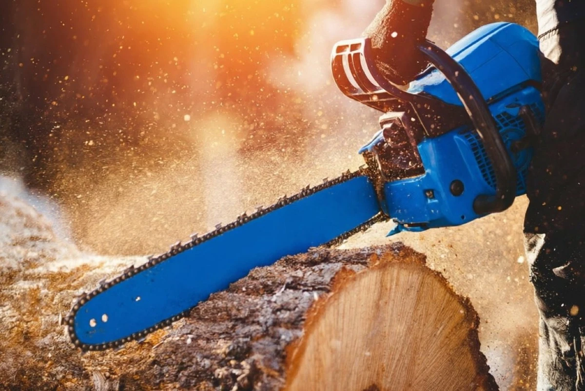 No arruines tu motosierra ni pongas en riesgo tu vida: las reglas de oro para trabajar con esta herramienta