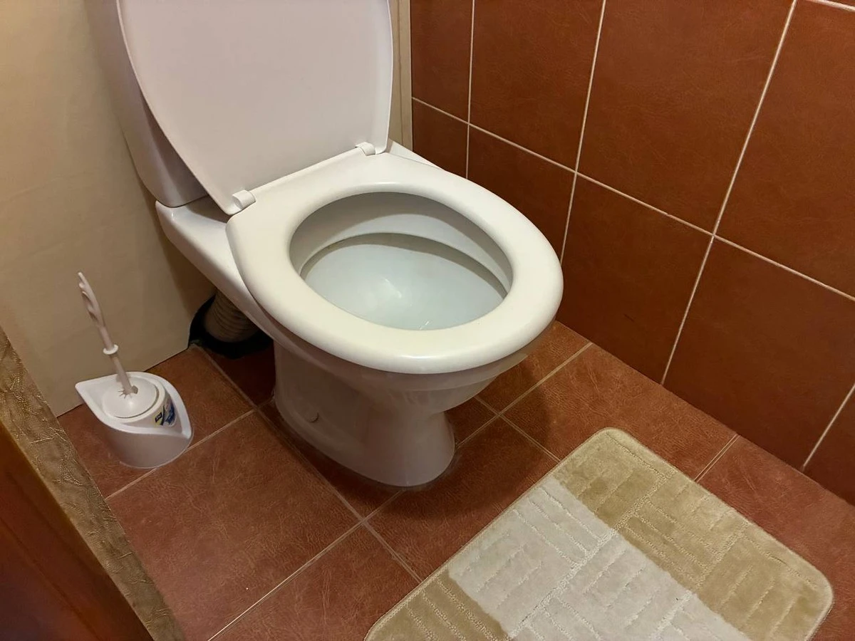 El vinagre: el secreto barato para un inodoro siempre fresco (y sin químicos)