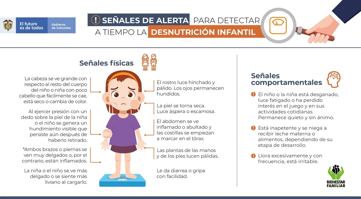 5 señales de que tu cuerpo te está pidiendo más comida (y no es gula) - image 1