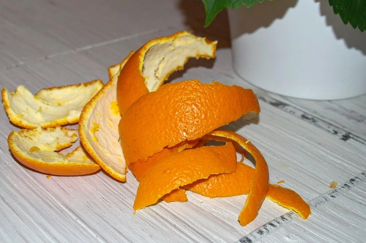 Prepara tu hortensia para un crecimiento espectacular: abono casero de cáscaras de naranja para el invierno